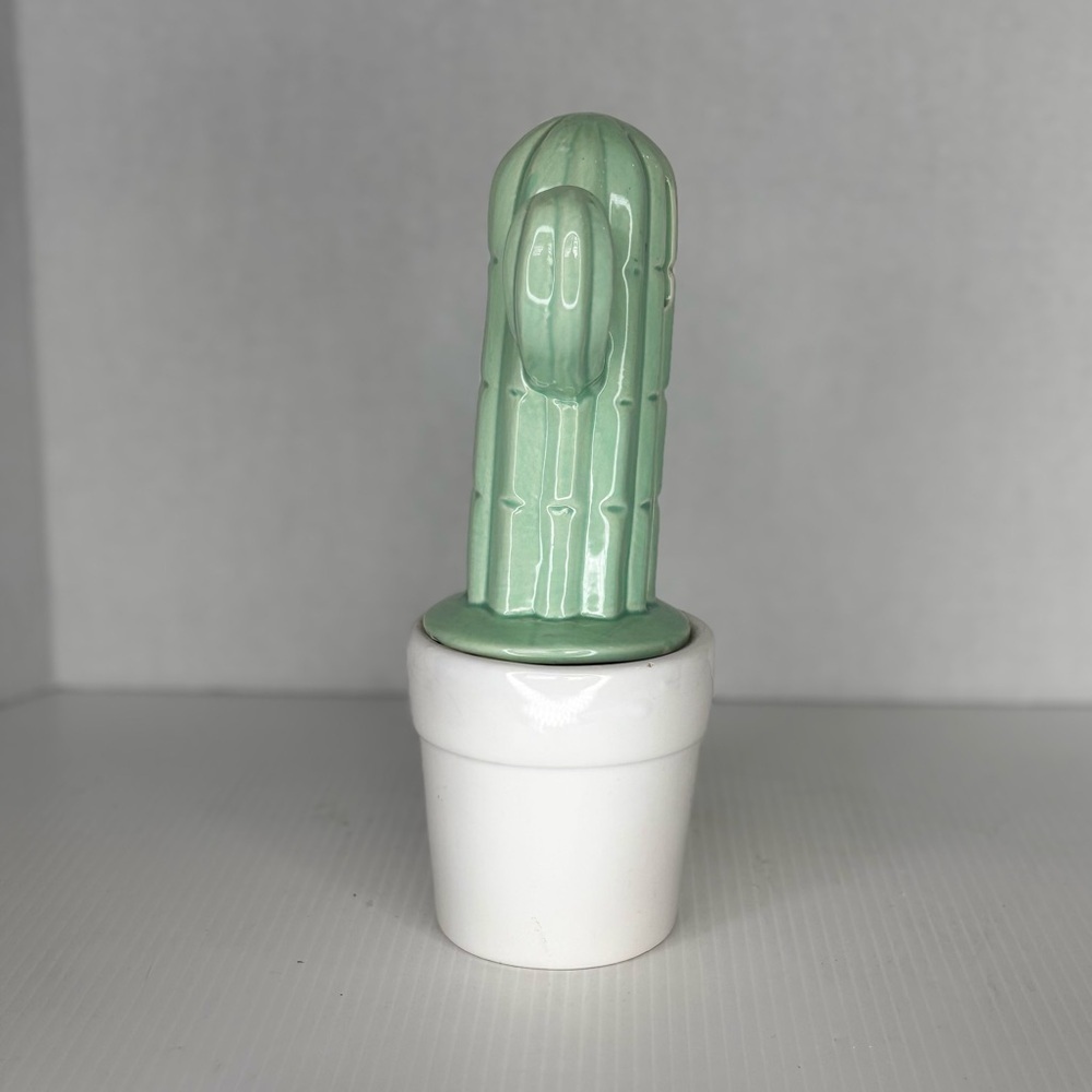 Cactus Bank w Original Stopper Southwest Decor 9.75” - Picture 2 of 10